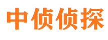 亭湖市调查公司